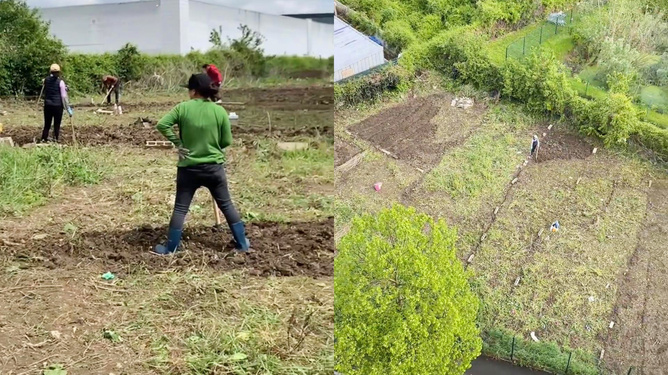 法国市长约见荒地种菜的中国大姐