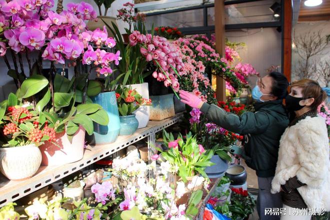 日本消费者对中国鲜花的热情