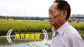 袁隆平，杰出的农学家