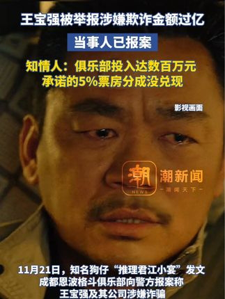 警方通报王宝强被举报诈骗，事件背景、经过、结果及影响