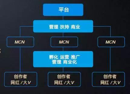 网红羊毛月与MCN机构解绑，自由之路