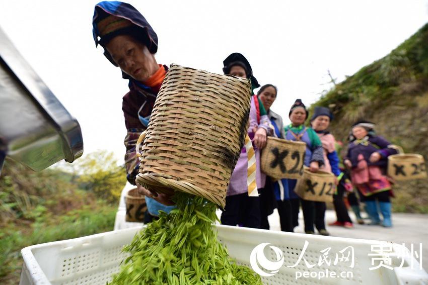 贵州经济持续回升向好