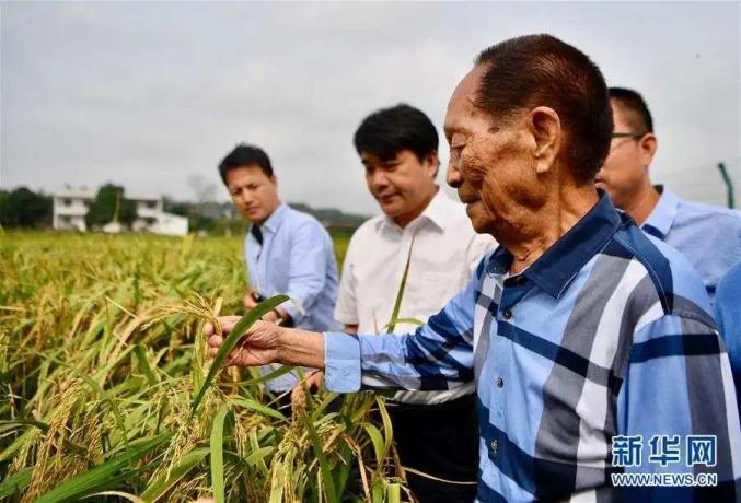 农科院回应掉色葱事件