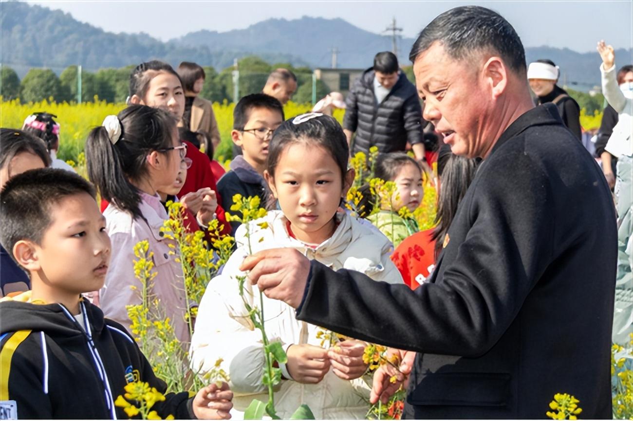 袁隆平，伟大农人的事迹