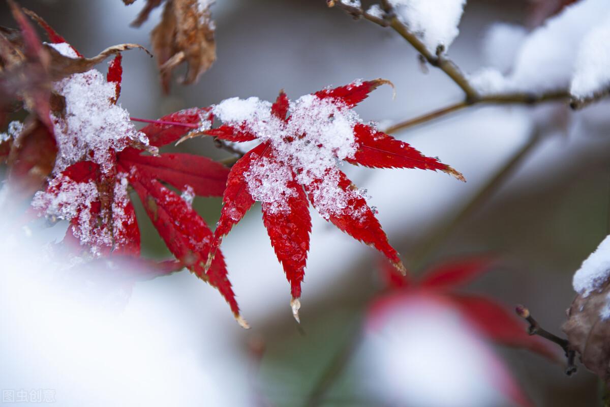 文化中国行，探寻大雪节气之韵味