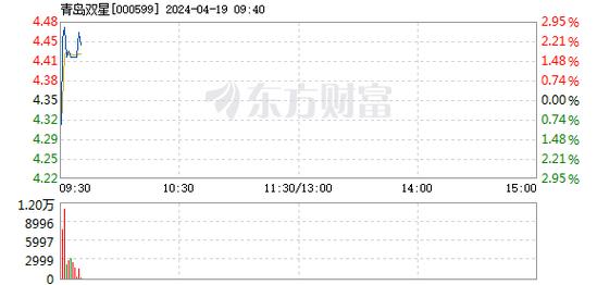 青岛双星股票股吧