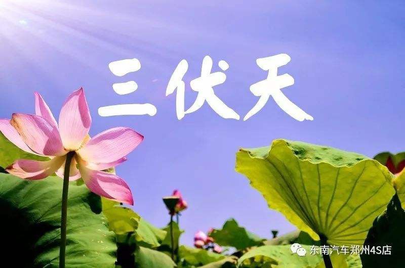 三伏天从哪个节气开始？