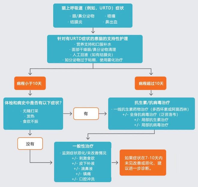 开店工具 第150页