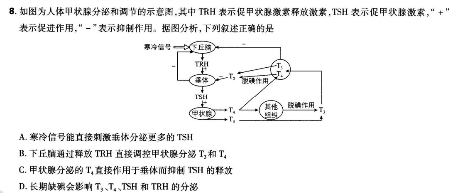 TRH在医学上的含义