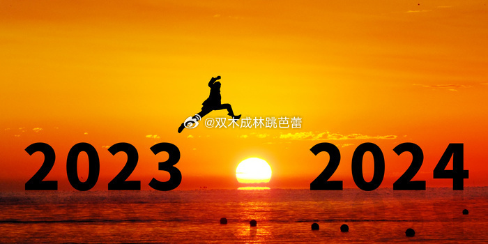 2024年的生活回望，你过得好吗？