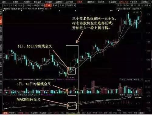 2亿散户退出股市，最后的狂欢？