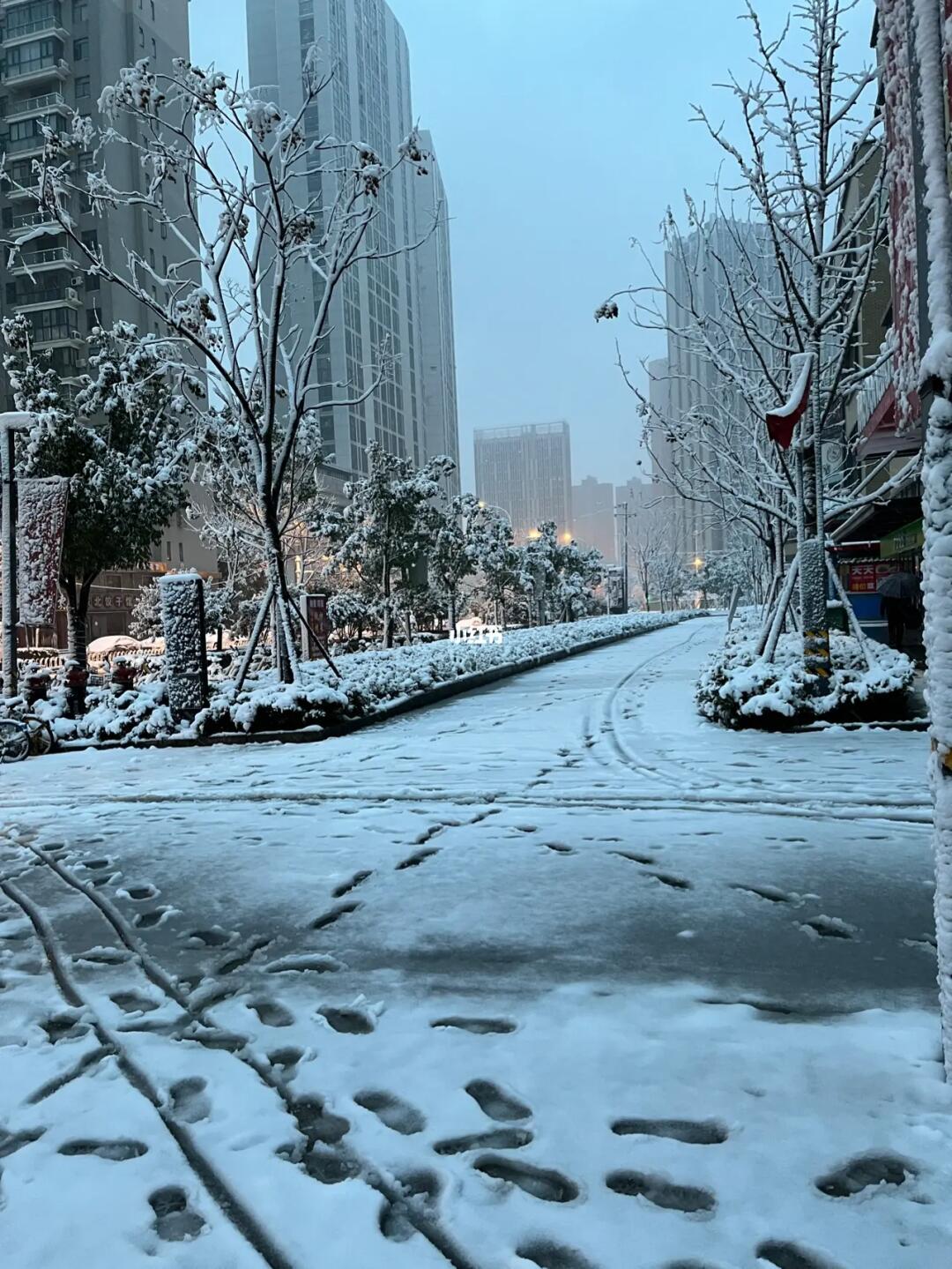 武汉瑞雪纷飞，冬日美景与影响一览