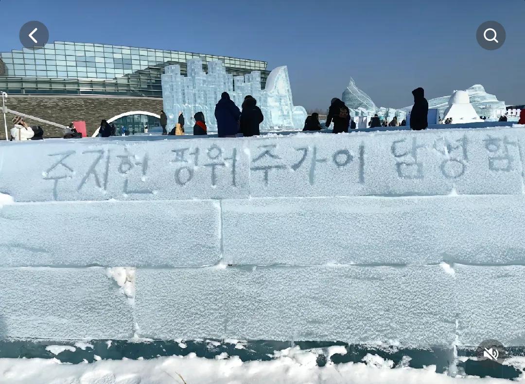 韩国电视台聚焦哈尔滨冰雪大世界，冰雪奇缘的绚丽绽放