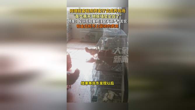 城市租客的独特生活艺术，客厅变身养鸡场