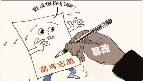 河南考生遭遇志愿篡改，梦校落榜背后的教训与警示