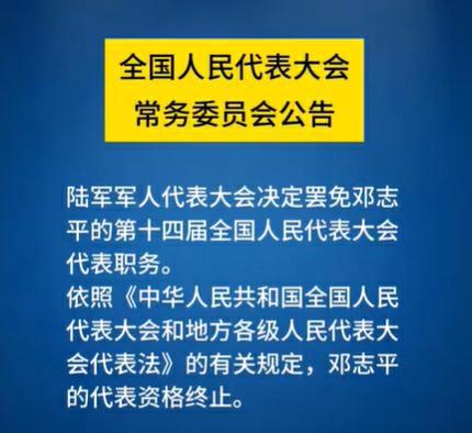 八人被罢免全国人大代表职务的深度剖析