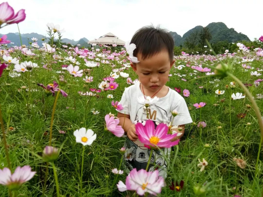 花海退役，英雄落幕，青春重启之路