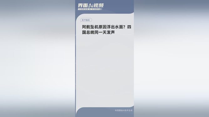 阿航坠机原因揭晓，四国总统揭示事故真相