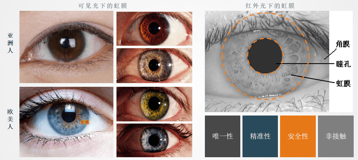 人类虹膜生物信息，独一无二的终身标识