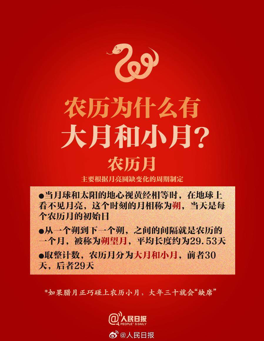 揭秘蛇年特殊现象，为何2025年将出现长达384天的独特周期？