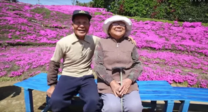 日本第一夫人外交首秀，文化与礼仪交融之旅引人瞩目