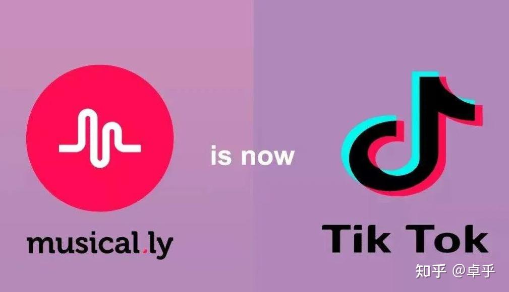 TikTok与小红书，美网友战场变迁记