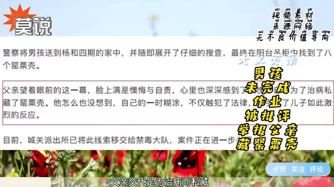 男孩举报父亲私藏罂粟壳，治病还是违法？法律后果探讨