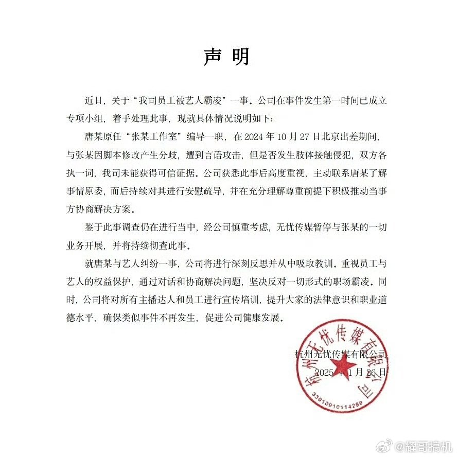 张大大背后的MCN公司揭秘