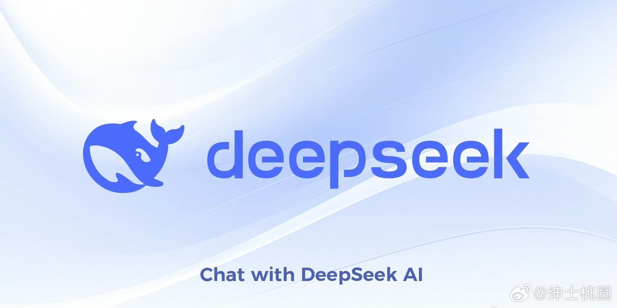 国内巨头与AI新星DeepSeek，优势挑战下的反思与前瞻