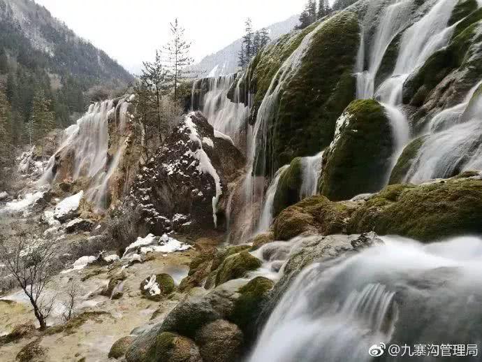 九寨沟景区辟谣，四十岁以上游客不免门票标题