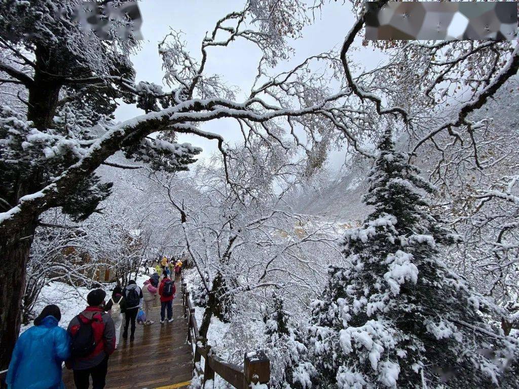 景区棉花造雪引发争议，真实与虚拟界限模糊的挑战