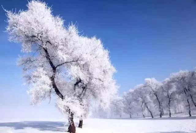 哈尔滨与亚冬的冰雪奇缘，相遇时刻，光彩夺目