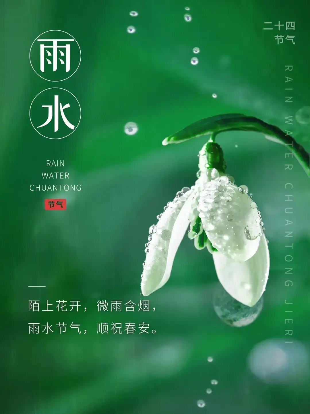 雨水的韵律，生命的节奏同步探索