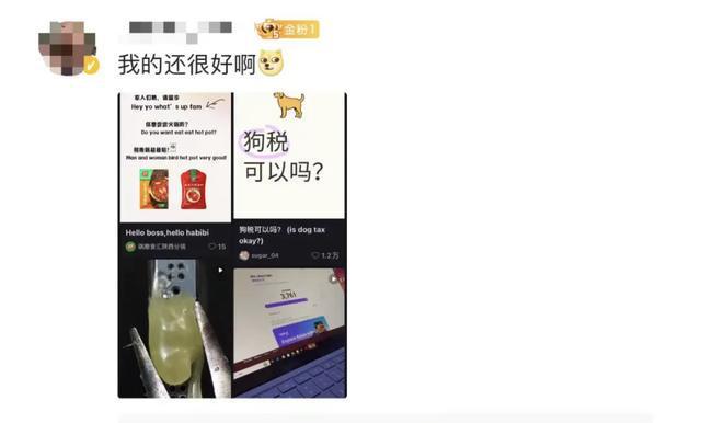 小红书意外崩溃背后的原因及应对之策探究