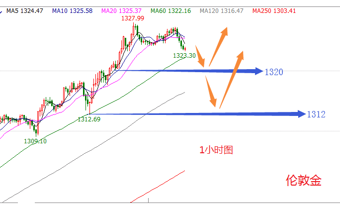 金价一夜暴涨12元，市场反应及未来展望分析