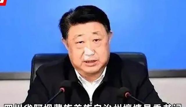 杨克宁非法持有枪支弹药案，法律铁拳下的正义彰显与16年判决引发的深思